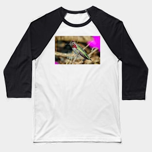 Anna's Hummingbird Perched on a Branch Baseball T-Shirt